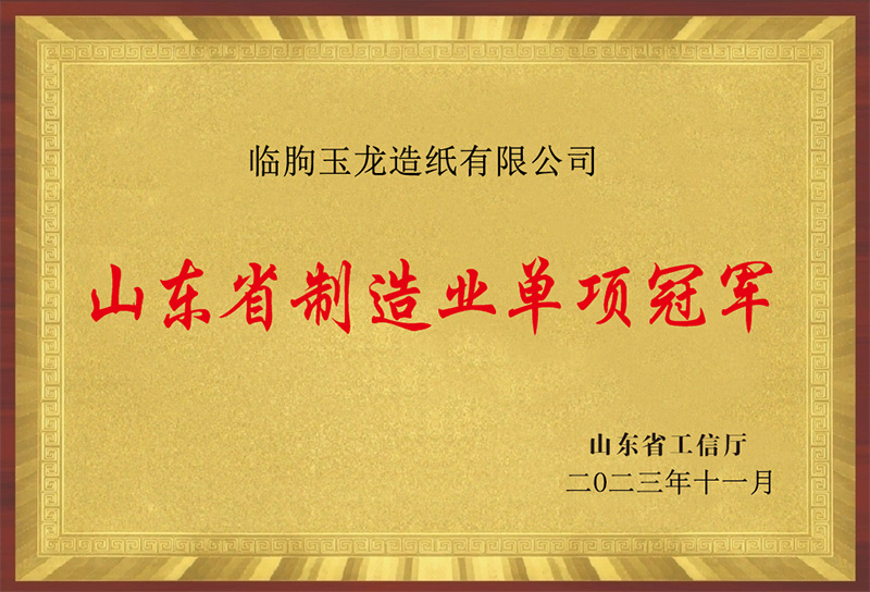 山东省制造业单项冠军（临朐玉龙造纸有限乐动买球-乐动买球（中国））